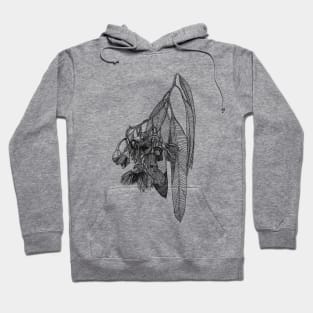 Gum leaf scientific nature black ink pen drawing illustration Hoodie